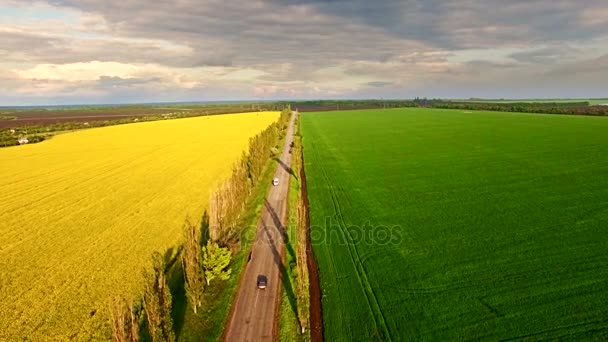 Vista aérea de la carretera suburbana entre los campos de colza y trigo — Vídeo de stock