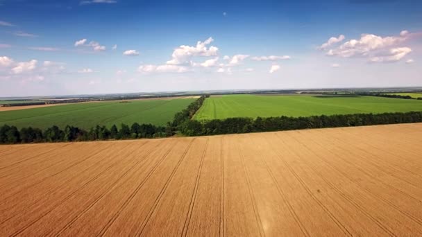 Vista aérea de los campos agrarios . — Vídeos de Stock