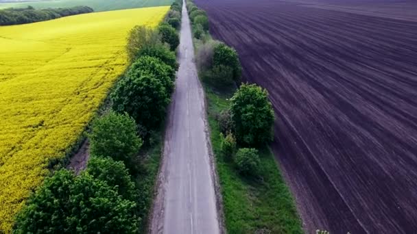 Вид с воздуха на пригородную дорогу между полями — стоковое видео
