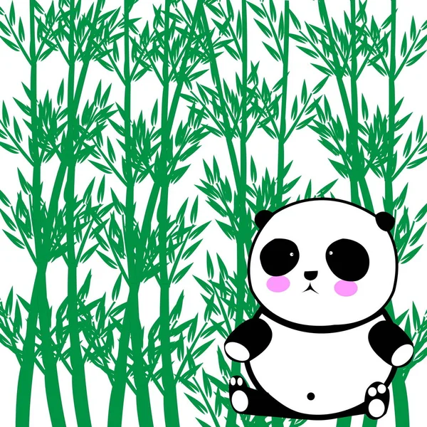 Panda bear and Bamboo tree isolated on white  background.