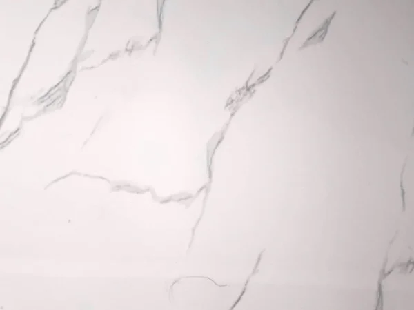 Beyaz mermer zeminde doğal siyah desen..