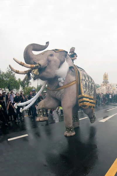 Процессия слонов чествует покойного короля . — стоковое фото