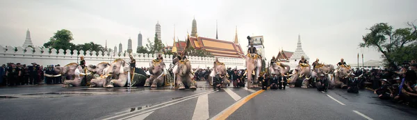 Elephant processie eert wijlen koning. — Stockfoto