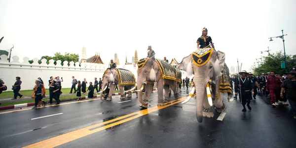 Procissão de elefantes homenageia o falecido Rei . — Fotografia de Stock