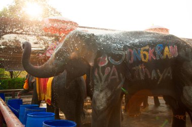 Filler kendilerini mutlu sprey su.