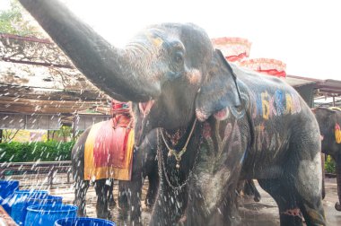 Filler kendilerini mutlu sprey su.