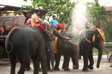 Filler kendilerini mutlu sprey su.