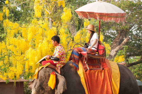 Turistas cabalgando en el elefante . — Foto de Stock