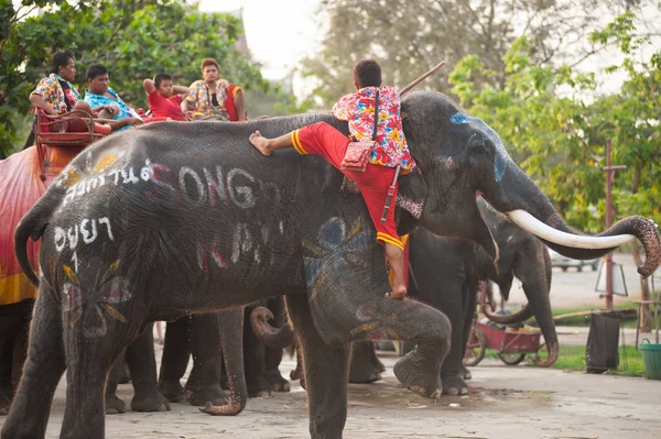 Mahout is rising on head of Elephant . — Stock Photo, Image