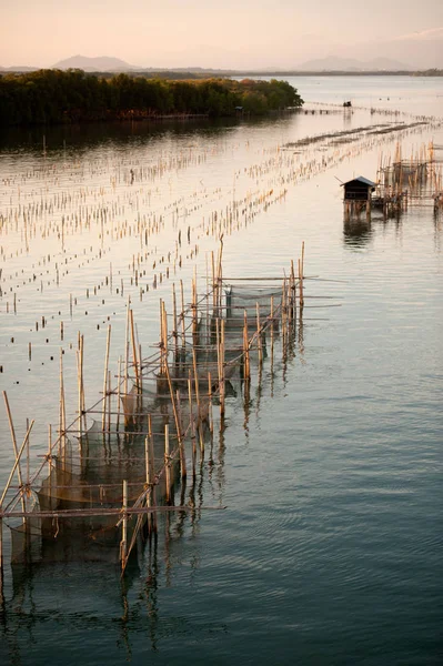 Fishing traps in Net Fishing Thailand, Thailand Shrimp Fishing. — Stock Photo, Image