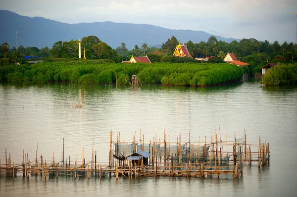 Nettó horgászat Thaiföld, Thaiföld garnélarák-halászat halászati csapdák. — Stock Fotó