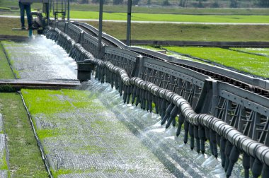 Pirinç ile otomatik tohum için sulama.