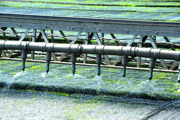 Watering for seeding rice with automatic. — Stock Photo, Image