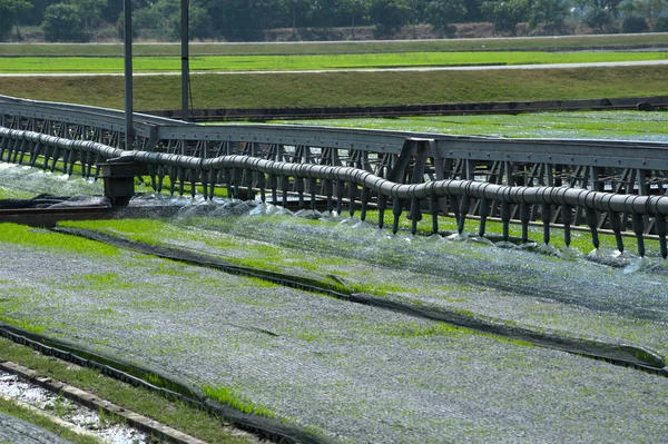 Watering for seeding rice with automatic. — Stock Photo, Image