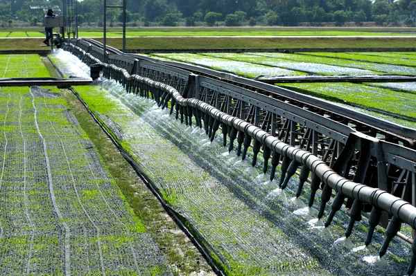 Watering for seeding rice with automatic. — Stock Photo, Image