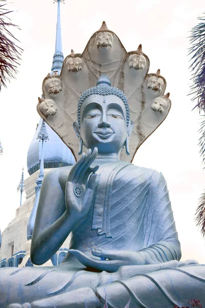 Estatuas de Buda de Oro y gran Pagoda en templo budista Wat Tham Khuha Sawan . —  Fotos de Stock