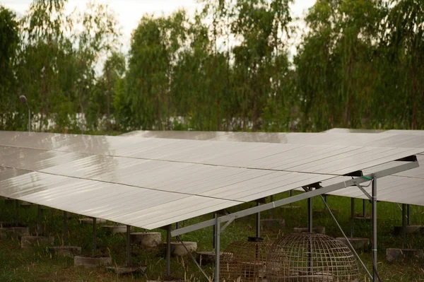 Panele słoneczne (solar cell) w farmy słoneczne z oświetleniem słońce. — Zdjęcie stockowe