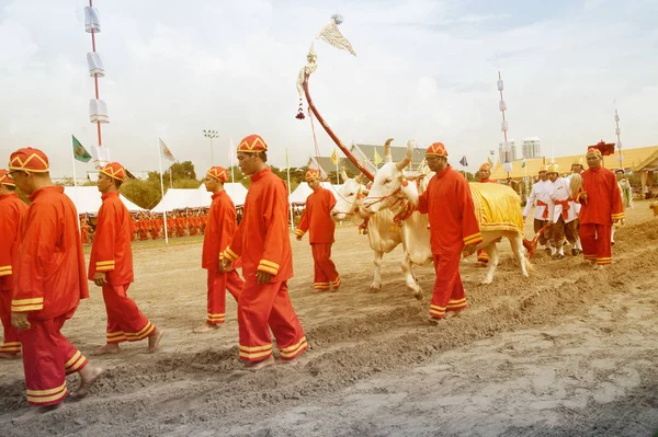 Plowing Ceremony in Thailand. — Stock Photo, Image