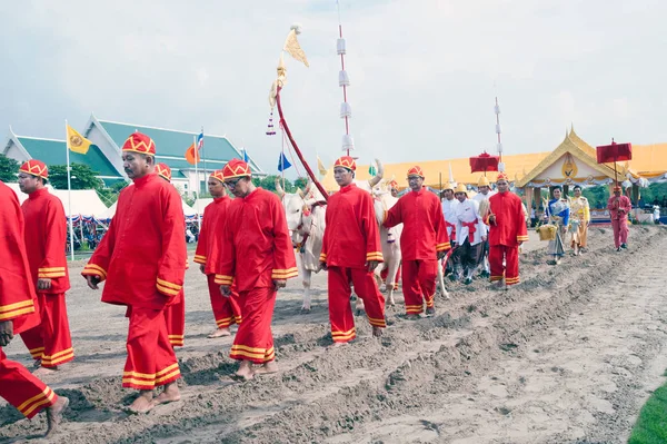 Plowing Ceremony in Thailand. — Stock Photo, Image