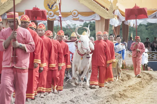 Оранка церемонії в Таїланді. — стокове фото