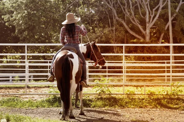 Ganska asiatiska kvinnan cowgirl ridning en häst utomhus i en gård. — Stockfoto