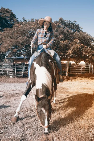 Bastante asiática mujer vaquera cabalgando un caballo al aire libre en una granja . — Foto de Stock