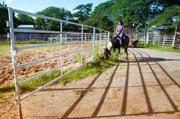 Ładny Asian kobieta cowgirl jazda na koniu, na zewnątrz w farmie. — Zdjęcie stockowe