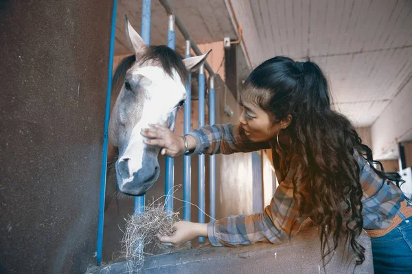 Mooie aziatische vrouw aaien paard in een boerderij. — Stockfoto