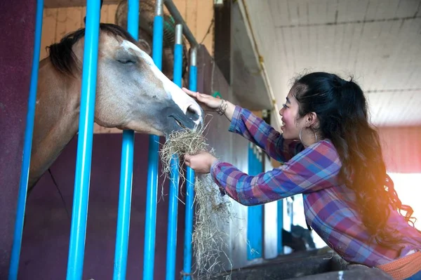 Mulher asiática bonita acariciando cavalo em uma fazenda. — Fotografia de Stock