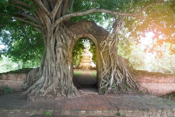 Poort van tijd van de oude tempel Wat Phra Ngam. — Stockfoto