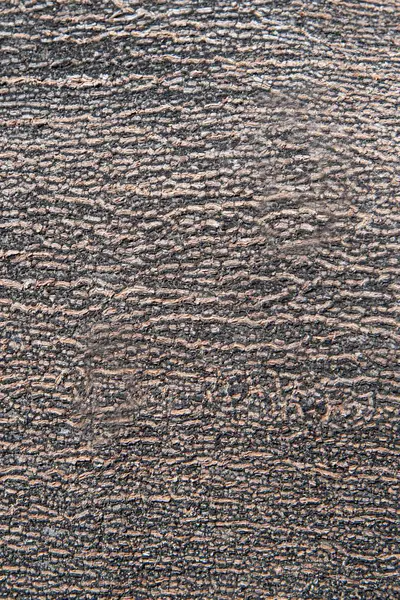 Текстура и фон дерева Мимоза . — стоковое фото