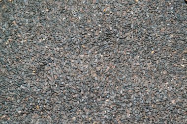 Arka plan üzerinde siyah seasame.