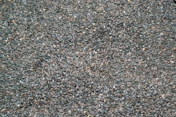 Arka plan üzerinde siyah seasame.