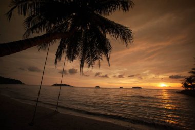 Siluet palmiye ağacı ile arka plan Tayland tropikal plaj.