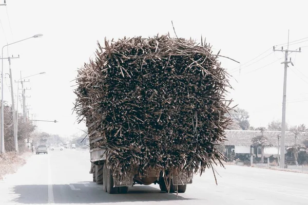 Camión de caña de azúcar completamente cargado en una carretera en Tailandia . —  Fotos de Stock