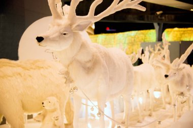 Işık Ren geyiği ve Bangkok şehir, Tayland Noel ağacı kutlama güzel süslemeleri