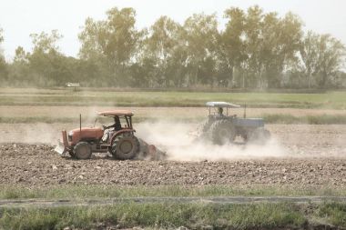 Ric dikim için toprak hazırlama alanı açılış çalışan traktör