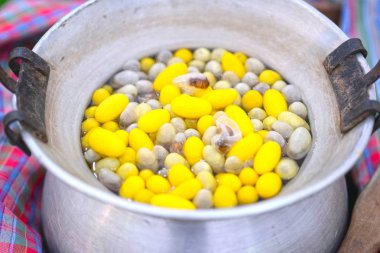 Güzel sarı renk kaynama koza ipekböceği bir tencerede.