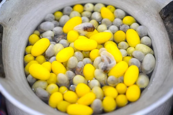 美丽的黄色煮茧蚕在锅. — 图库照片