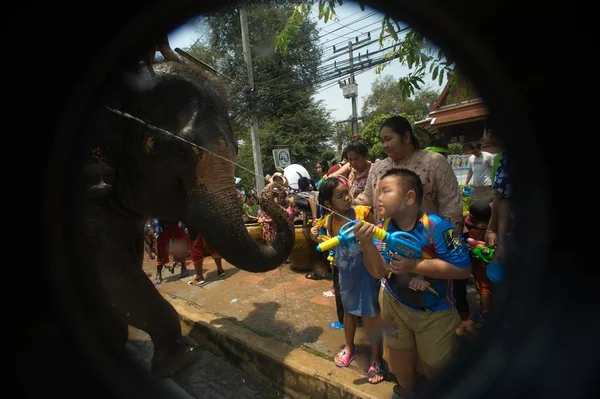 Elefante juntar-se na água durante Songkran Festival na Tailândia . — Fotografia de Stock
