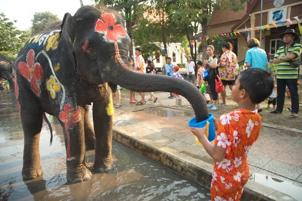 Elefante schizza giocosamente divertimento e felicità in acqua durante il Songkran Festival in Thailandia . — Foto Stock