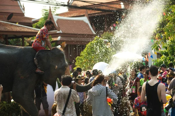 थायलंडमधील सोंगक्रॅन फेस्टिवल दरम्यान हत्ती पाण्यात पाणी मजा आणि आनंद खेळाने स्प्लॅश करीत आहे . — स्टॉक फोटो, इमेज