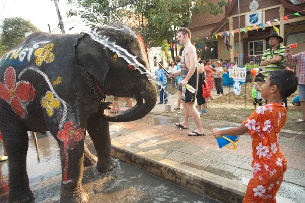 Elefante salpicando juguetonamente agua diversión y felicidad en el agua durante el Festival de Songkran en Tailandia . — Foto de Stock