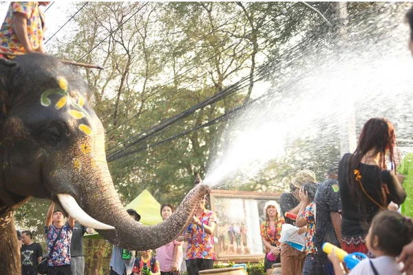 Elefante brincalhão espirrando água diversão e felicidade na água durante Songkran Festival na Tailândia . — Fotografia de Stock