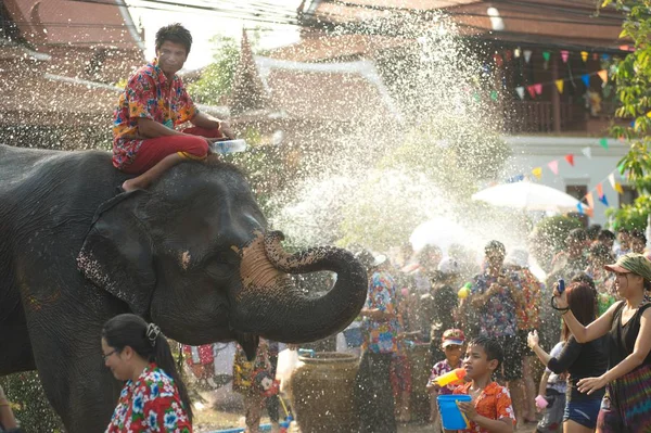 Elephant lekfullt stänk vatten roligt och lycka i vatten under Songkran Festival i Thailand. — Stockfoto