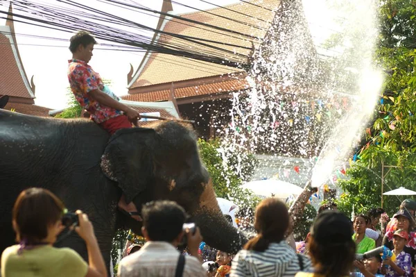 Słoń figlarnie rozpryskiwania wody zabawy i szczęścia w wodzie podczas festiwalu Songkran w Tajlandii. — Zdjęcie stockowe