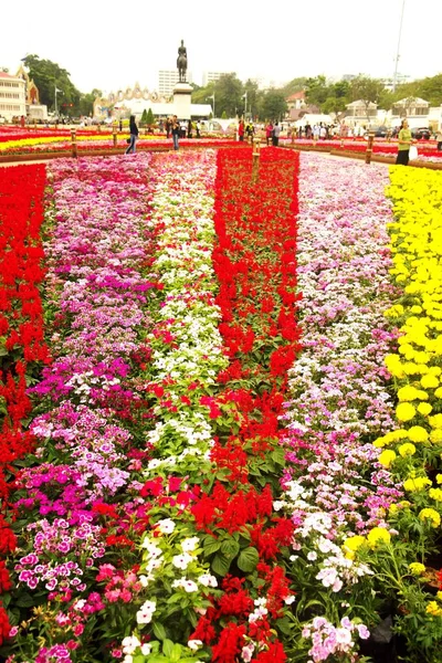 Fiori colorati con la statua equestre del re Chulalongkorn nella città di Bangkok, Thailandia . — Foto Stock