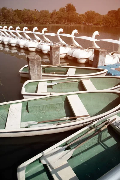 Szabadtéri zöld evezős csónak és fehér hattyús hajók Stílus a kikapcsolódásra a tavon a parkban. — Stock Fotó