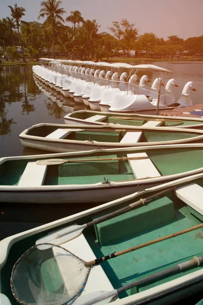 Υπαίθρια πράσινη βάρκα και λευκά σκάφη κύκνων Στυλ για χαλάρωση στη λίμνη σε ένα πάρκο. — Φωτογραφία Αρχείου