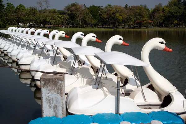 Barcos de cisne branco ao ar livre Estilo para relaxar no lago em um parque . — Fotografia de Stock